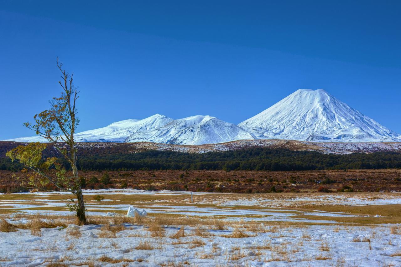 Beech Tree Lodge Охакуне Экстерьер фото